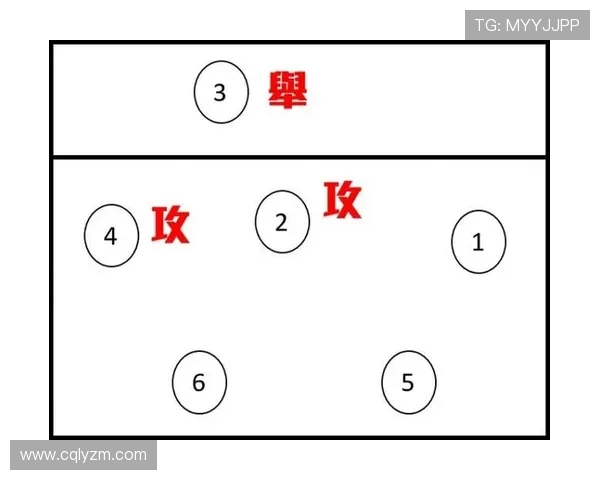 南京排球队反击体系解析与战术创新探讨
